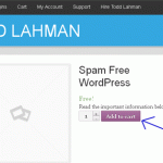 Борьба со спамом с Spam Free WordPress