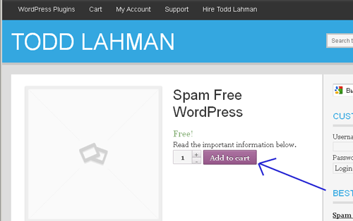 настройка spam free wordpress