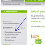 Регистрация кошелька в RBK money и кнопка оплаты на сайт