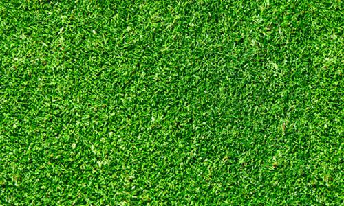 Seamless-Green-Grass-Texture